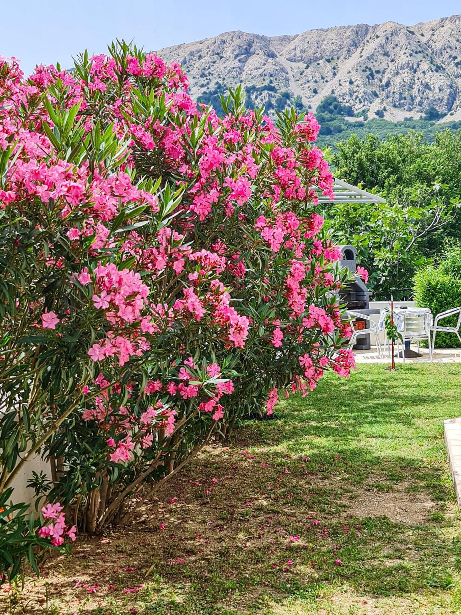Apartments Benkovic Baška Екстериор снимка